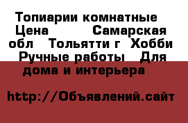 Топиарии комнатные › Цена ­ 500 - Самарская обл., Тольятти г. Хобби. Ручные работы » Для дома и интерьера   